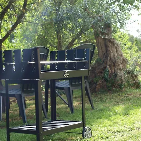 Mirasol Umag