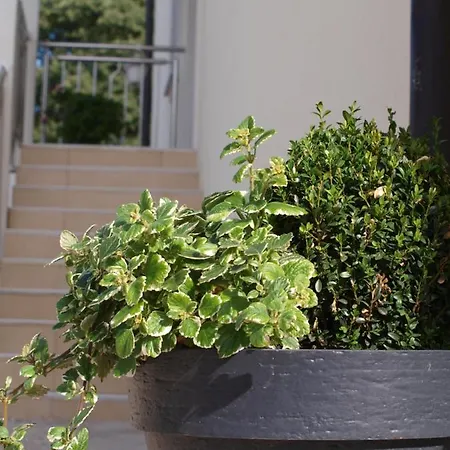 Apartment Mirasol