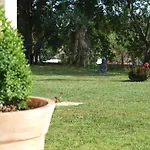 Mirasol Daire Umag