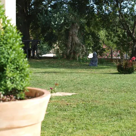 Mirasol Apartament Umag